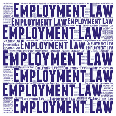 Employment Law - Zoom Training - Feb. 12, 2025