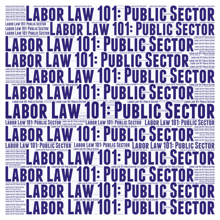 Labor Law 101 for Union Negotiators: Public Sector - Zoom Training - March 13, 2025